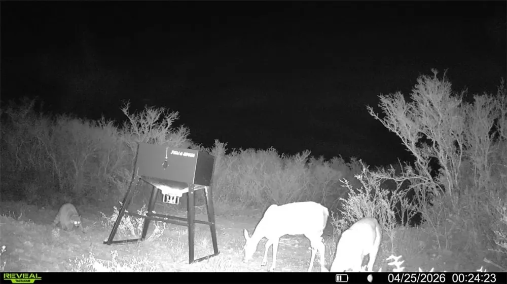 CR 104 San Diego, TX 78334