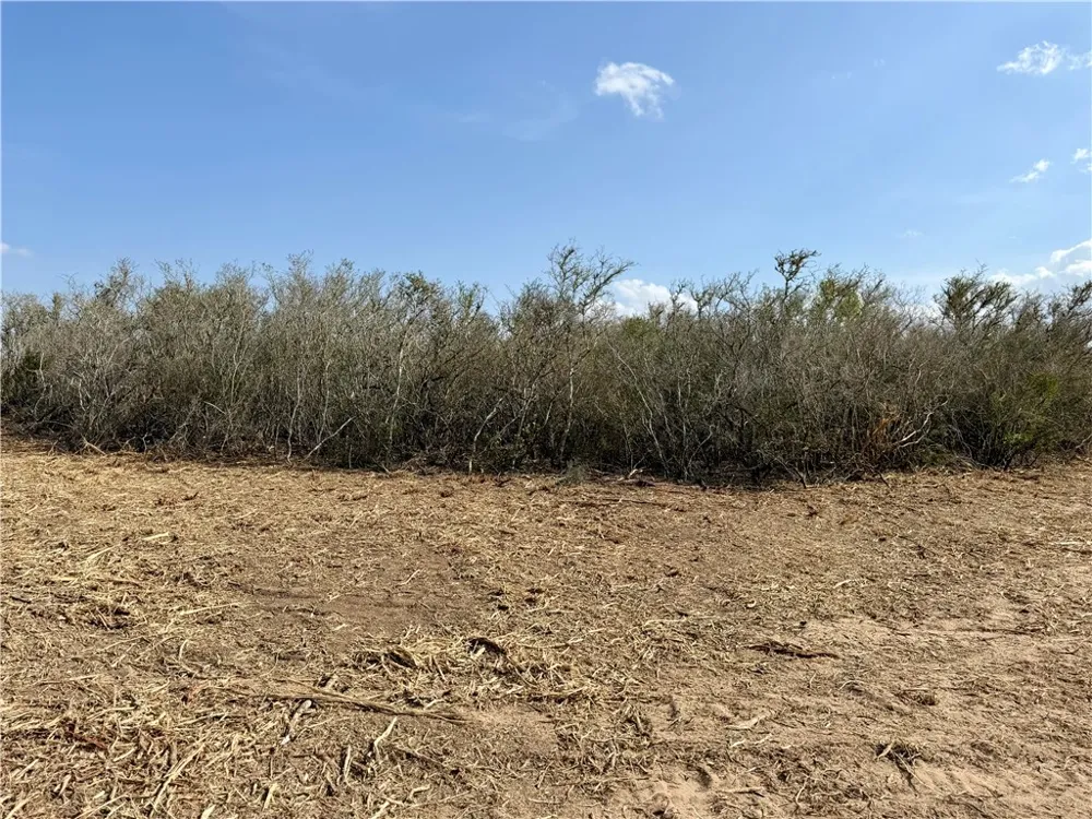 CR 104 San Diego, TX 78334