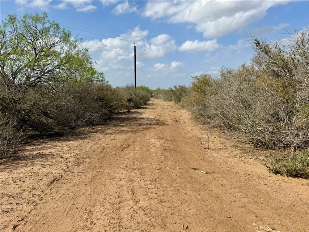 CR 104 San Diego, TX 78334