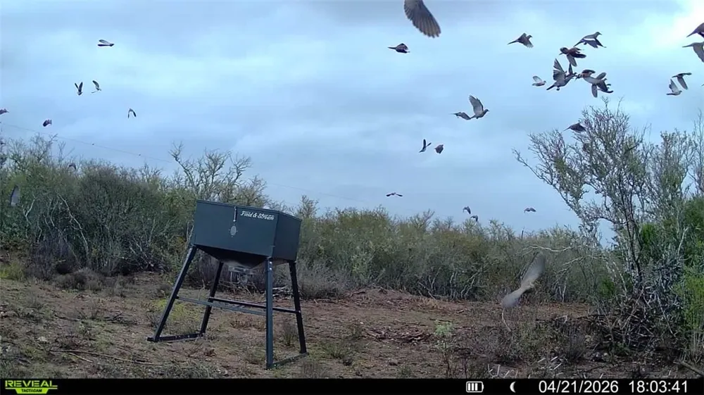 CR 104 San Diego, TX 78334