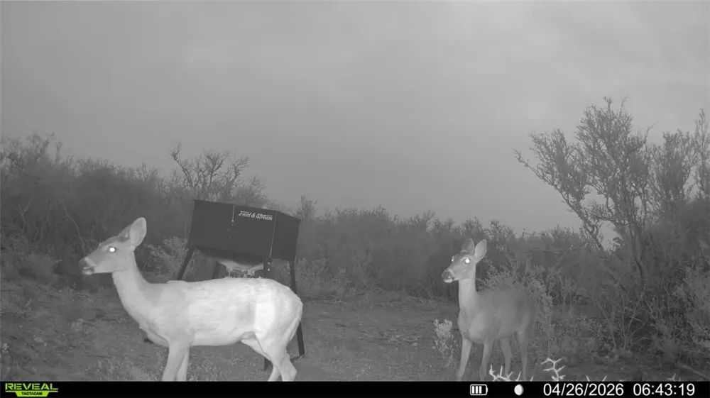 CR 104 San Diego, TX 78334