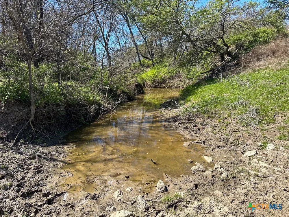 303 LCR 626 Groesbeck, TX 76642