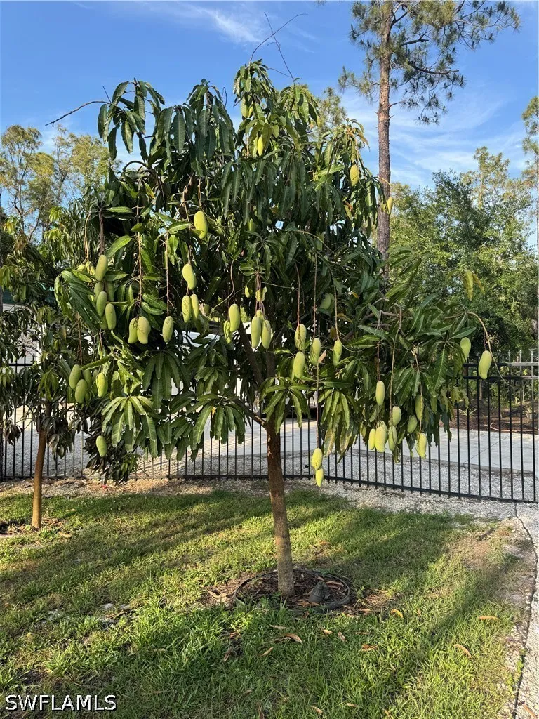 6th Avenue SE Naples, FL 34117