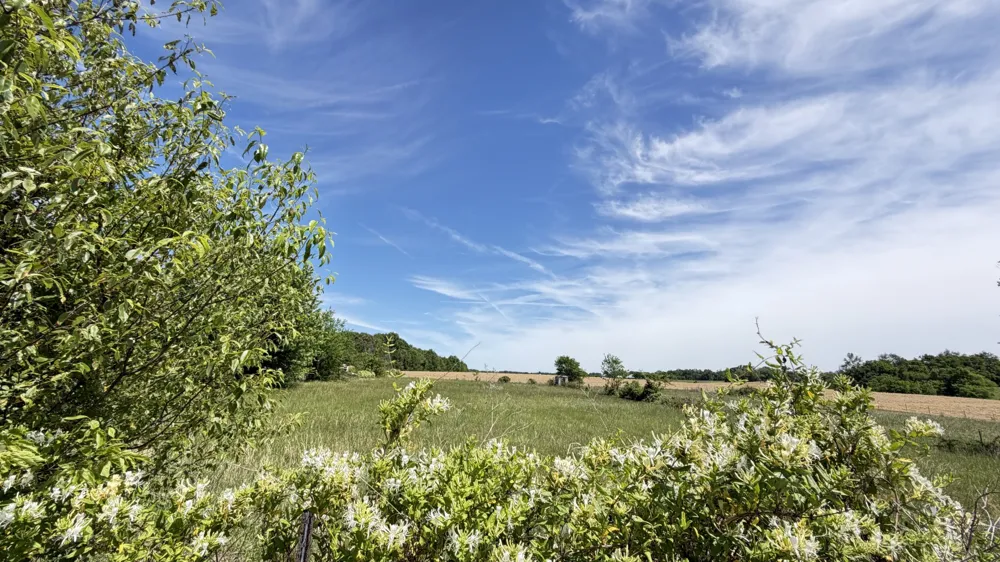 5901 Payne Rd Portland, TN 37148
