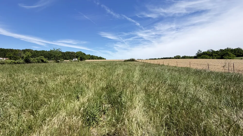 5901 Payne Rd Portland, TN 37148
