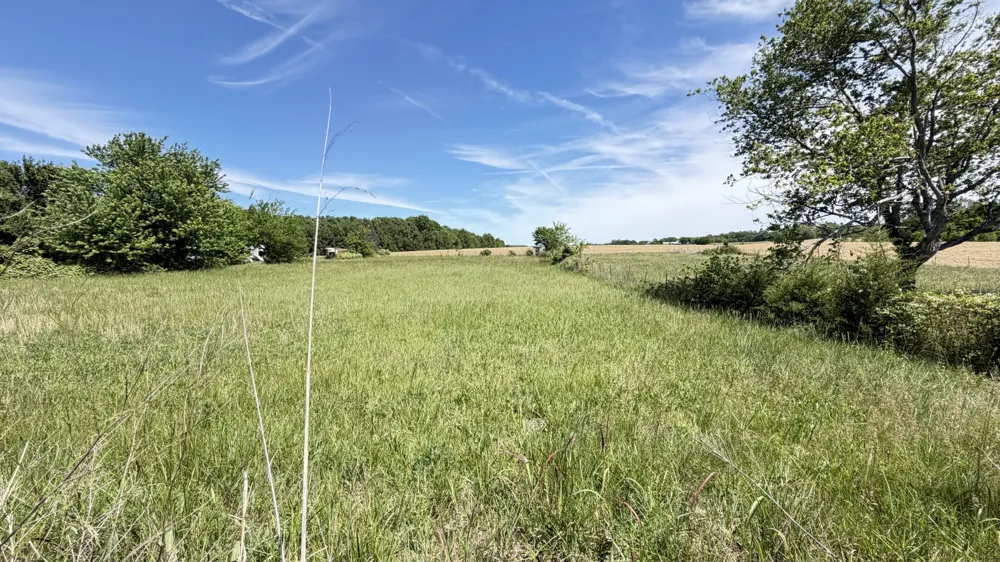 5901 Payne Rd Portland, TN 37148