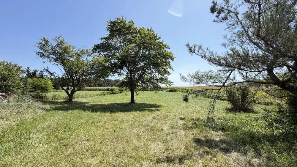 5901 Payne Rd Portland, TN 37148