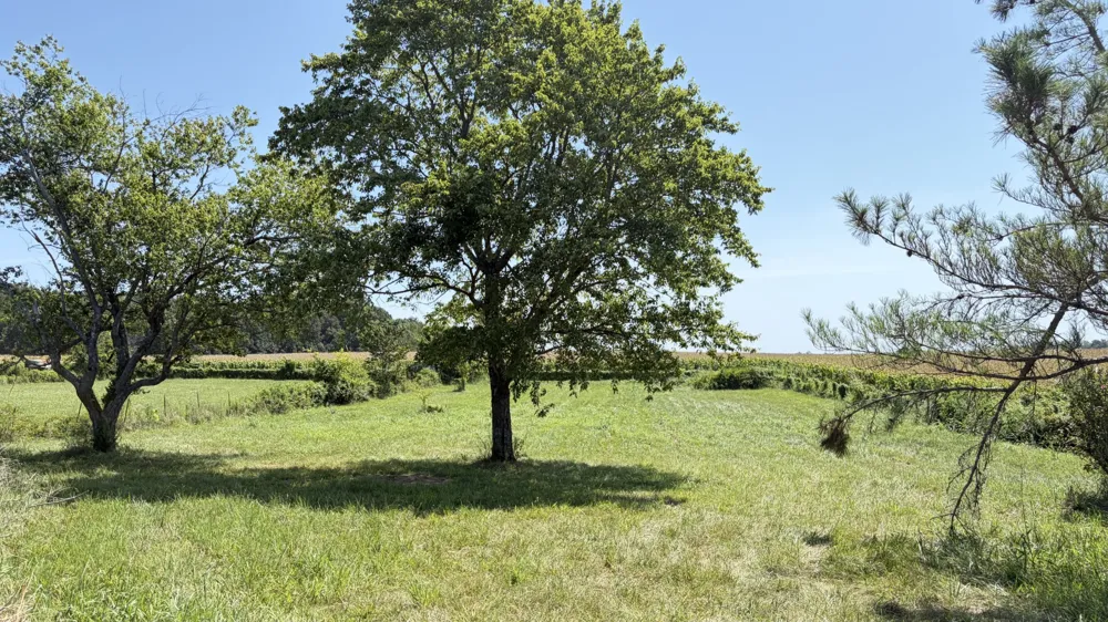 5901 Payne Rd Portland, TN 37148