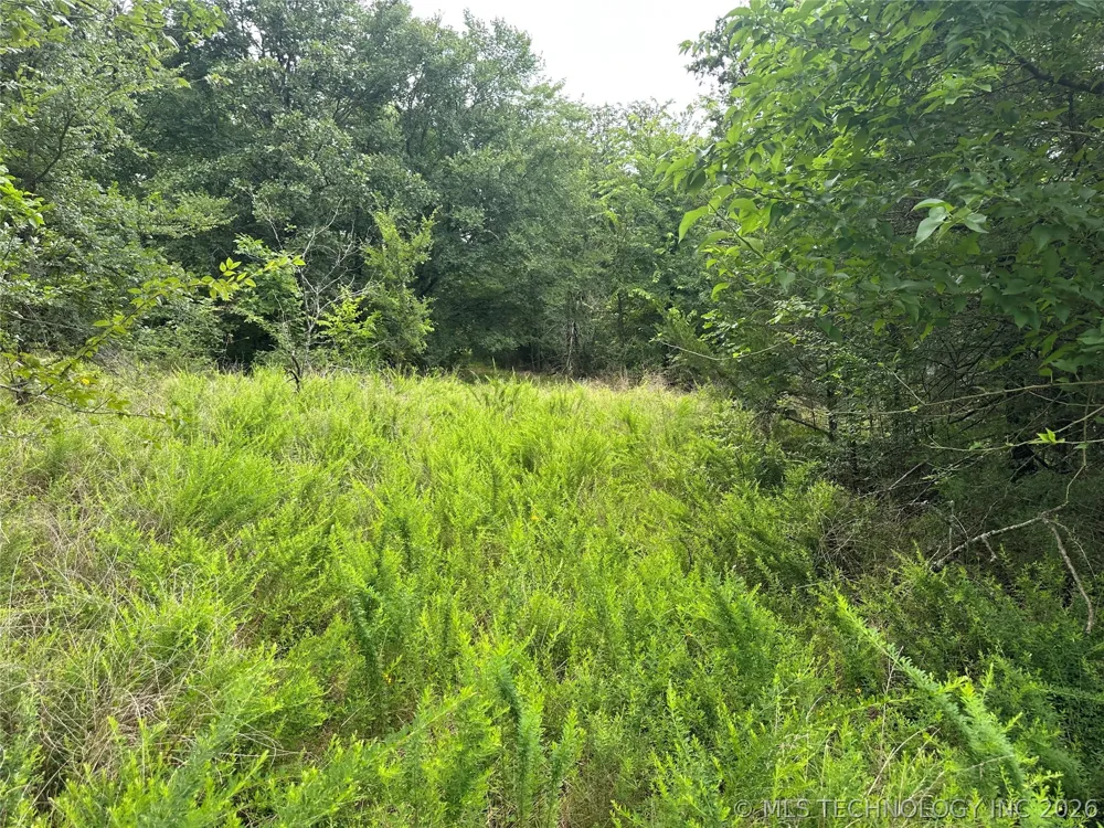 416067 E 1841 ROAD Moyers, OK 74557