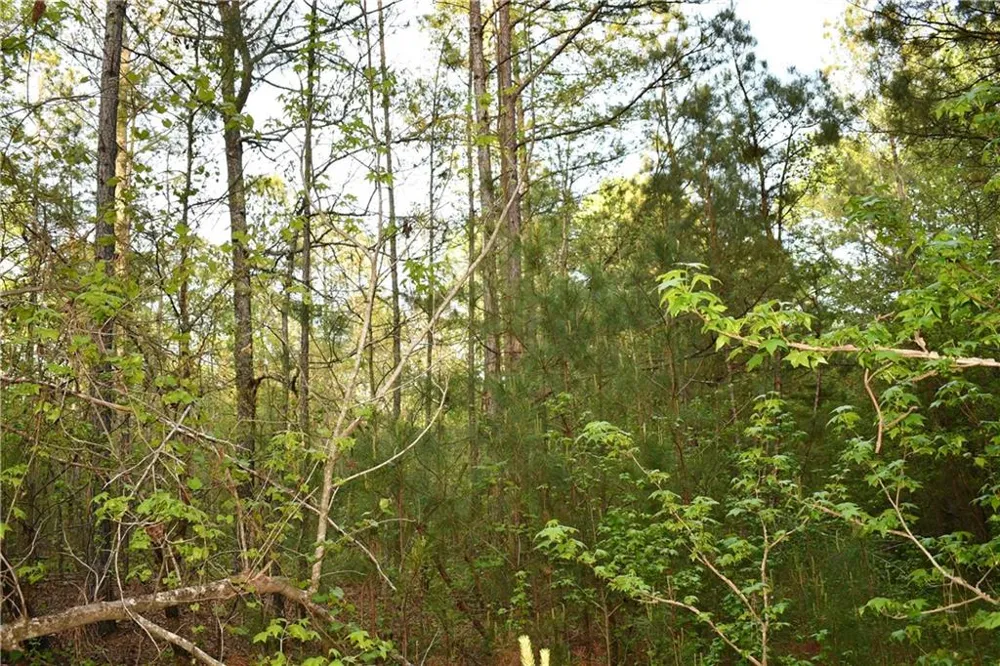 00004 Windridge Lane Temple, GA 30179