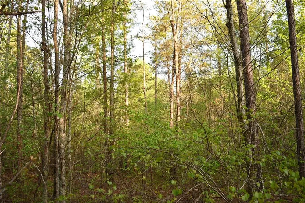 00004 Windridge Lane Temple, GA 30179