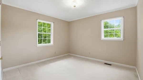 91 Golden Rd Lynchburg, TN 37352