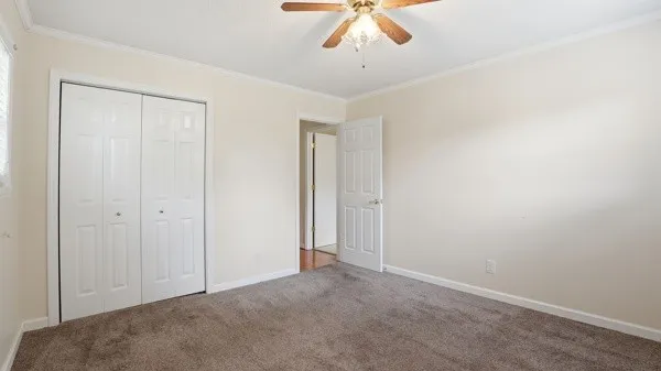 91 Golden Rd Lynchburg, TN 37352