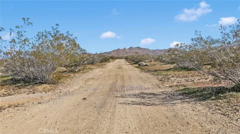 11 Highway 247/Brack Rd