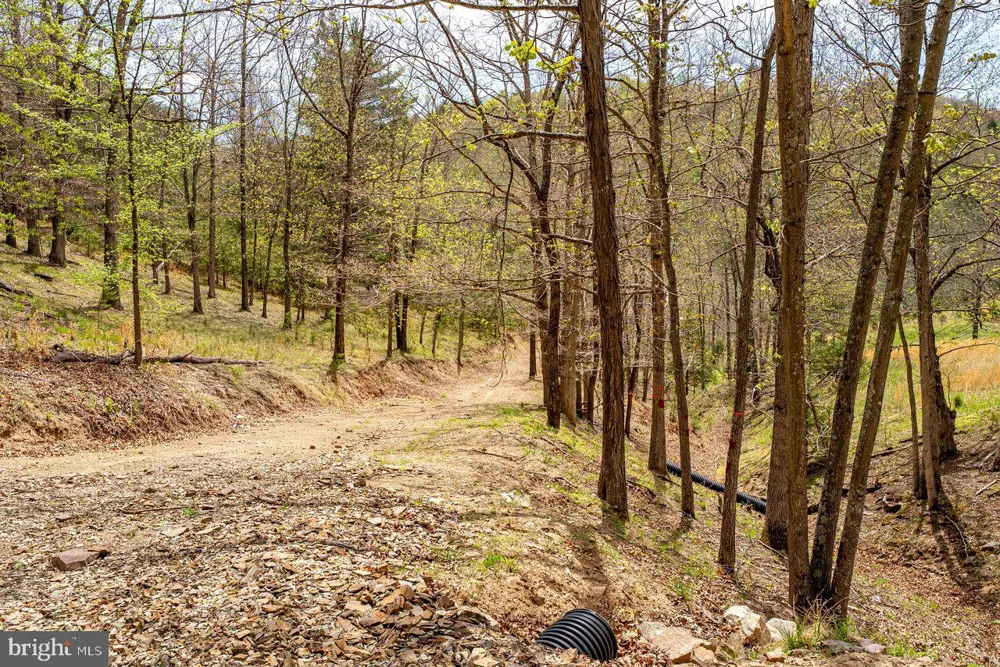 24 STRAUTER ROAD Franklin, WV 26807