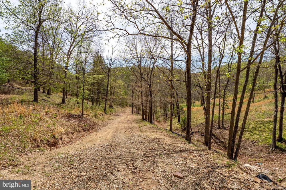 24 STRAUTER ROAD Franklin, WV 26807