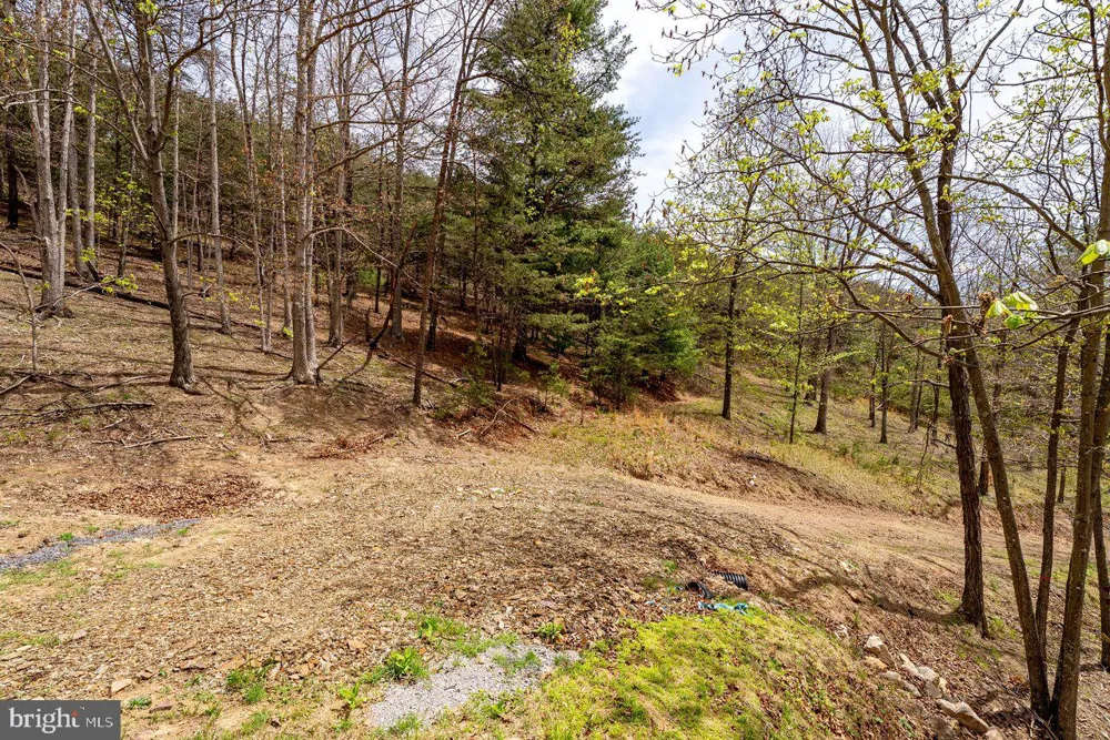 24 STRAUTER ROAD Franklin, WV 26807