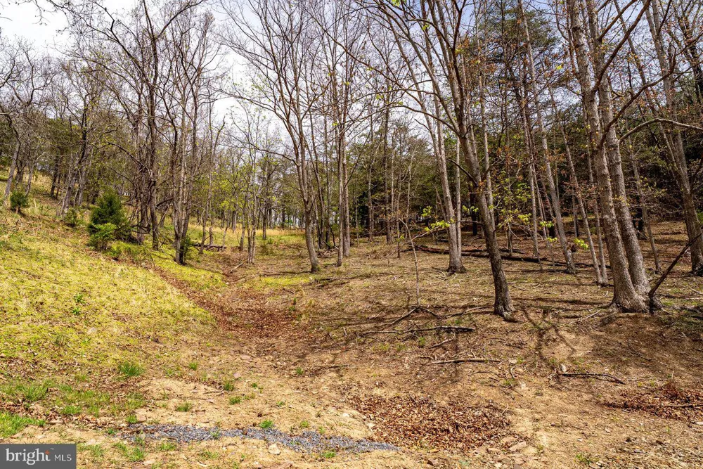 24 STRAUTER ROAD Franklin, WV 26807