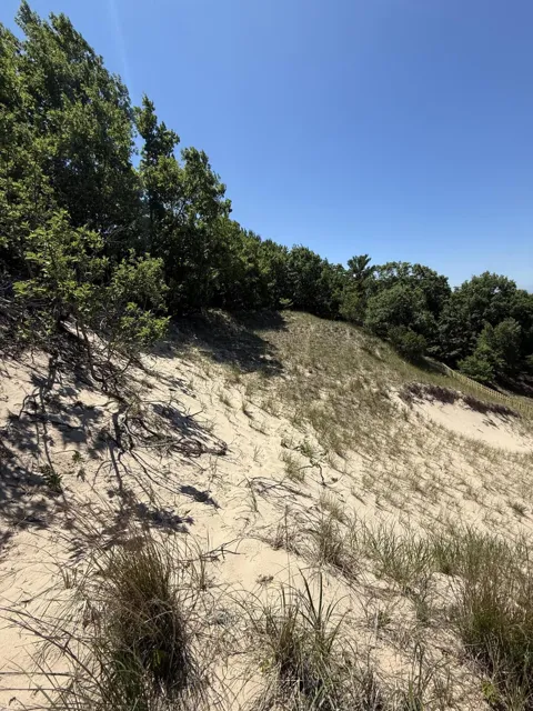313 Erie Trail
