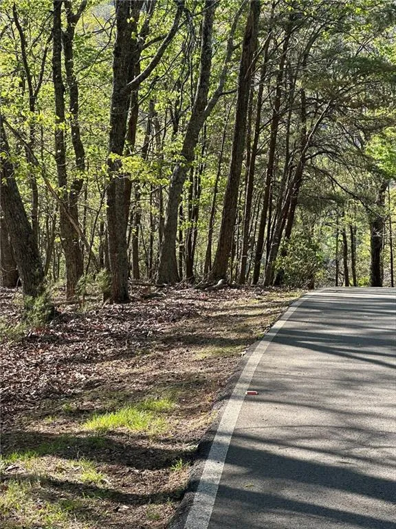 141 Wood Fern Knoll Big Canoe, GA 30143