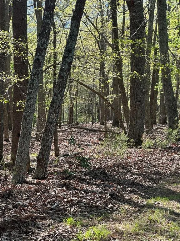 141 Wood Fern Knoll Big Canoe, GA 30143
