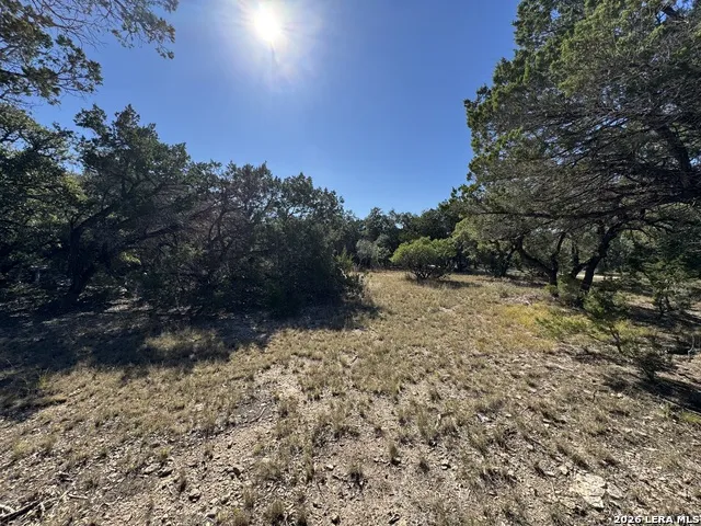 620 Lake Forest Pipe Creek, TX 78063