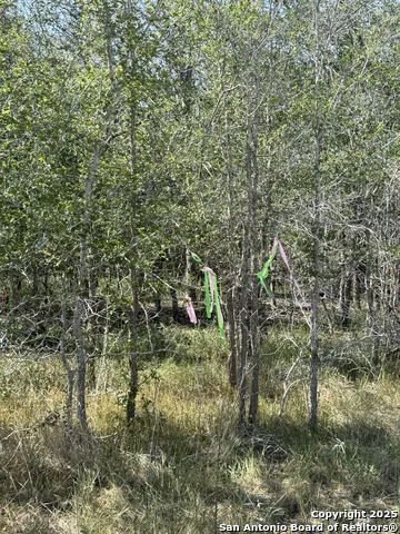 421 Kerr Ave Sutherland Springs, TX 78161