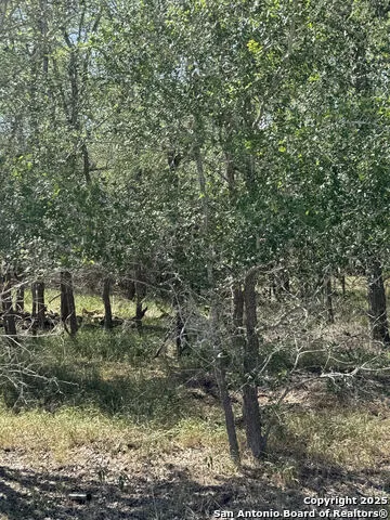 421 Kerr Ave Sutherland Springs, TX 78161