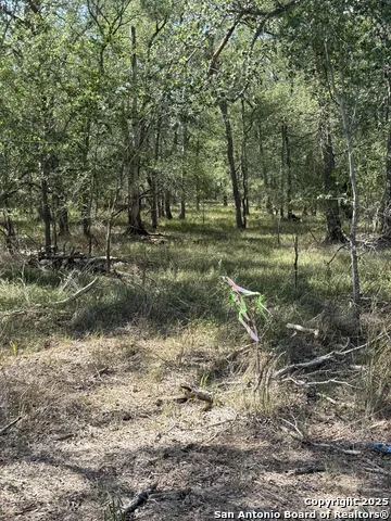 421 Kerr Ave Sutherland Springs, TX 78161