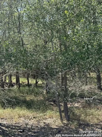 412 Kerr Avenue Sutherland Springs, TX 78161