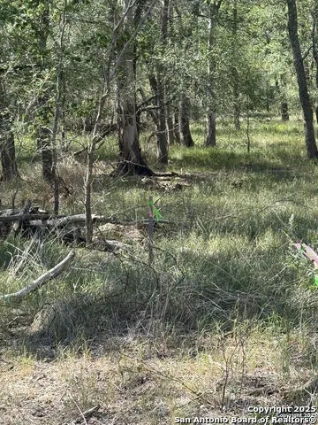 412 Kerr Avenue Sutherland Springs, TX 78161