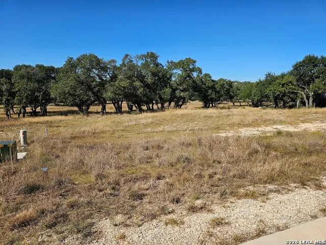 34663 Shelly Bridge Point Bulverde, TX 78163