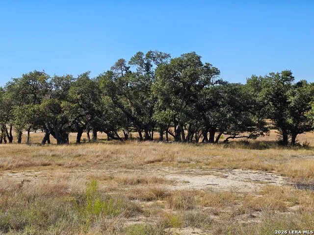 34663 Shelly Bridge Point Bulverde, TX 78163