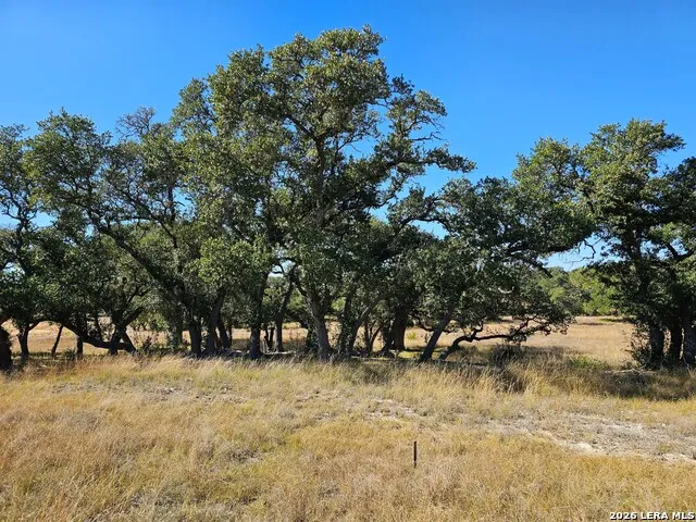 34663 Shelly Bridge Point Bulverde, TX 78163