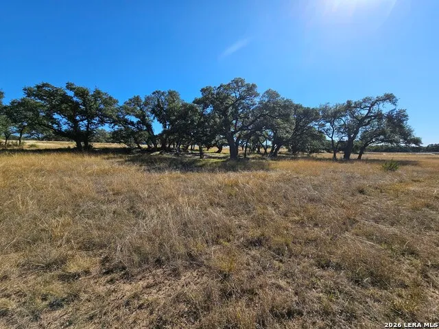 34663 Shelly Bridge Point Bulverde, TX 78163