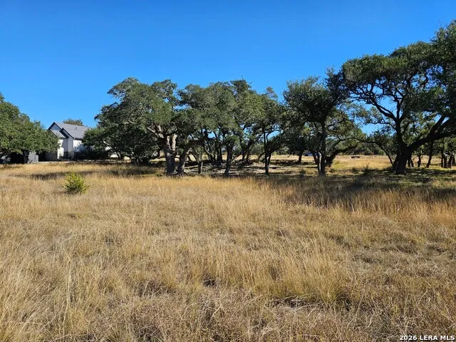 34663 Shelly Bridge Point Bulverde, TX 78163