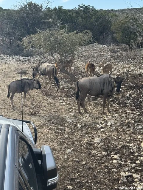 TBD RM 334 Brackettville, TX 78832