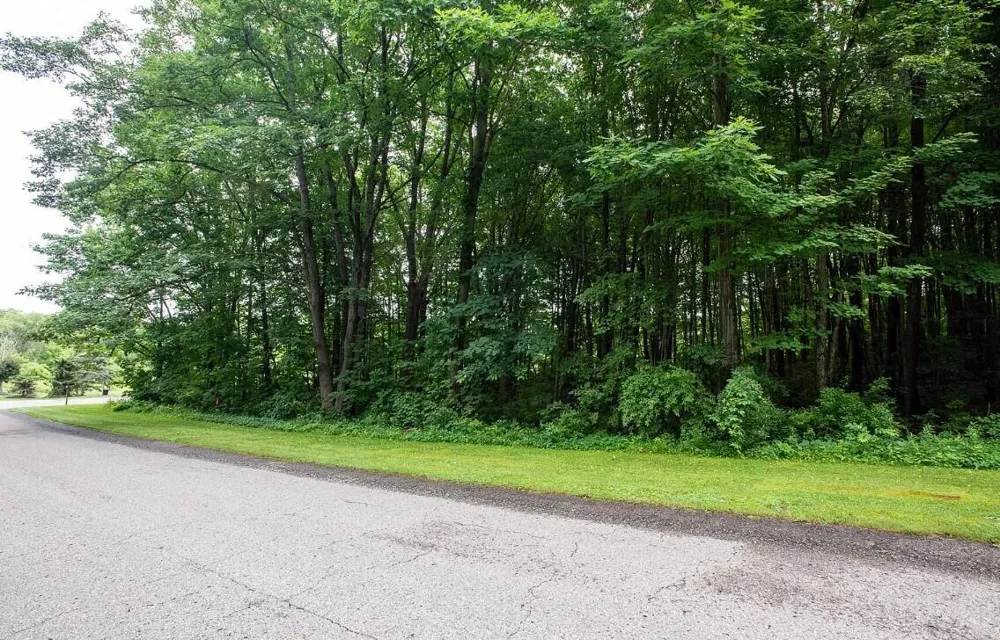 2928 Pickford Drive SE Ada, MI 49301