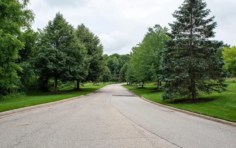 2928 Pickford Drive SE Ada, MI 49301