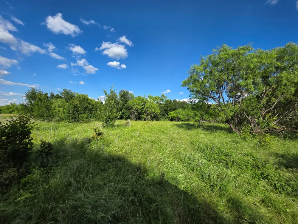 3201 County Road 612 Bangs, TX 76823
