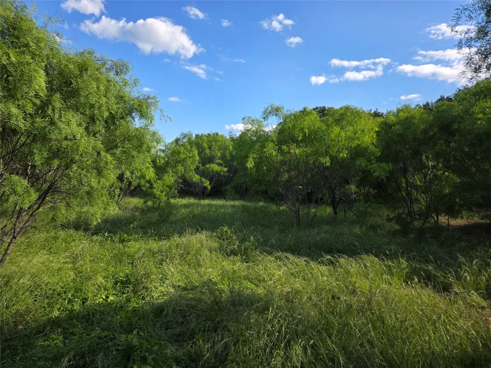 3201 County Road 612 Bangs, TX 76823