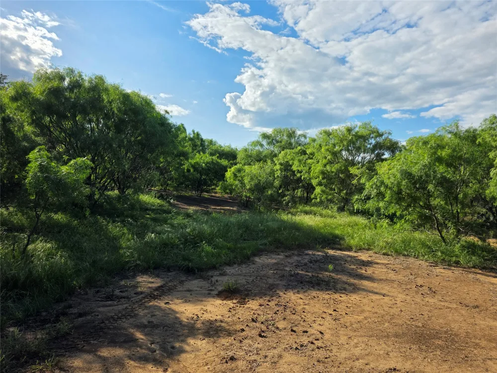 3201 County Road 612 Bangs, TX 76823