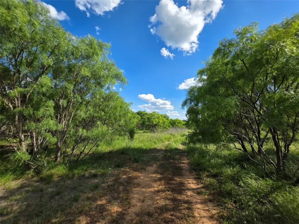 3201 County Road 612 Bangs, TX 76823