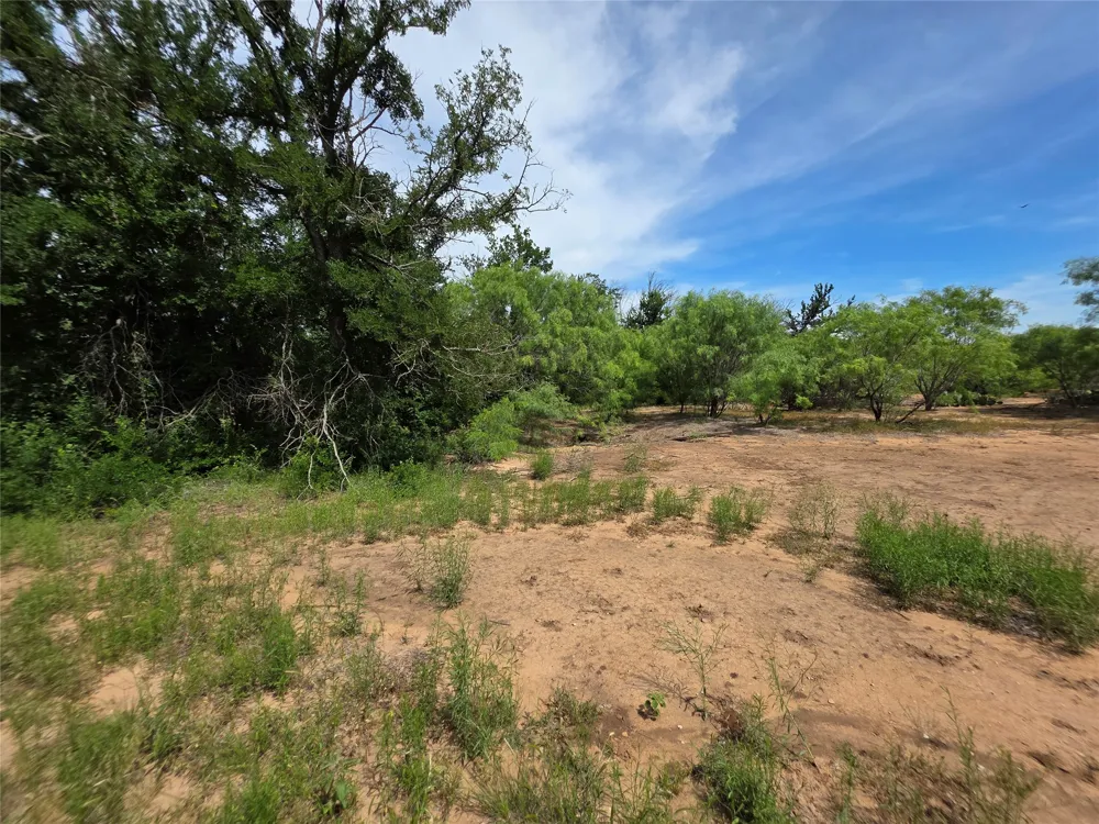 3201 County Road 612 Bangs, TX 76823