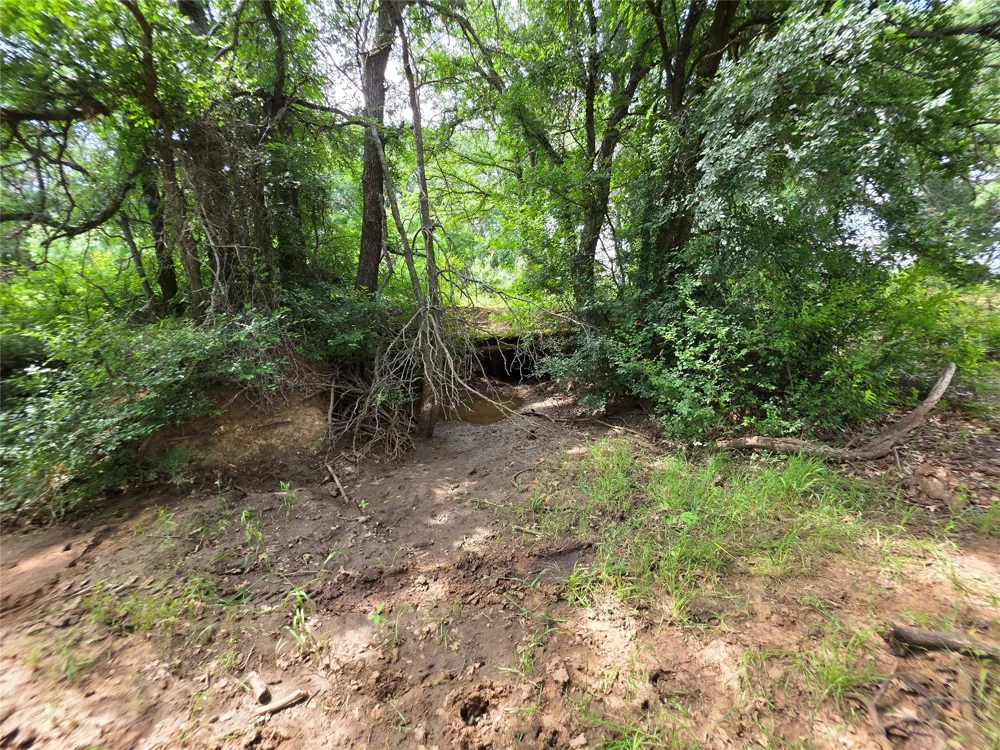 3201 County Road 612 Bangs, TX 76823