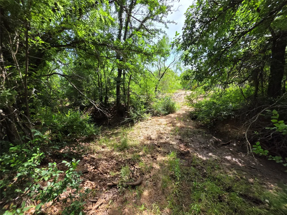 3201 County Road 612 Bangs, TX 76823