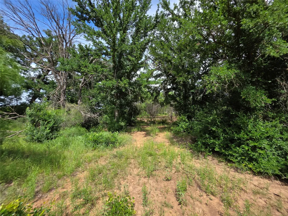 3201 County Road 612 Bangs, TX 76823