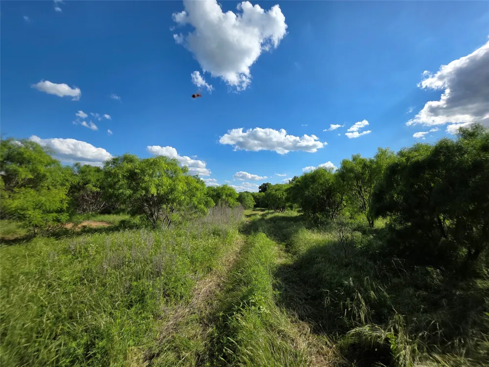 3201 County Road 612 Bangs, TX 76823