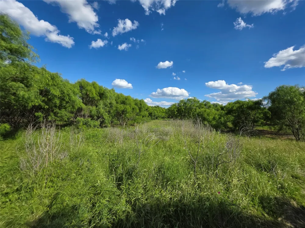 3201 County Road 612 Bangs, TX 76823