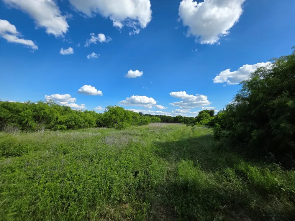 3201 County Road 612 Bangs, TX 76823
